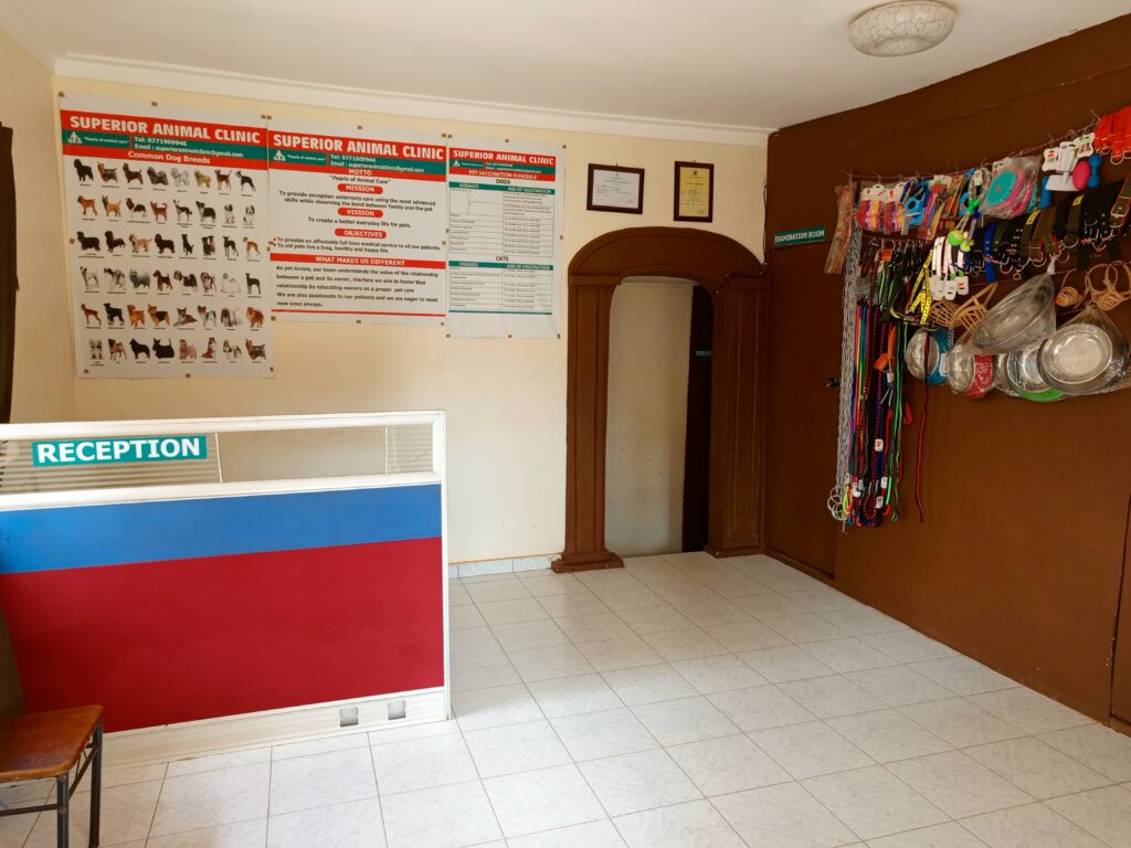 Reception of A Vet Clinic