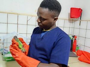 DR. Lubowa Excellent Mercy