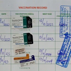 Vaccination book in Uganda, Kampala at Superior Animal Clinic