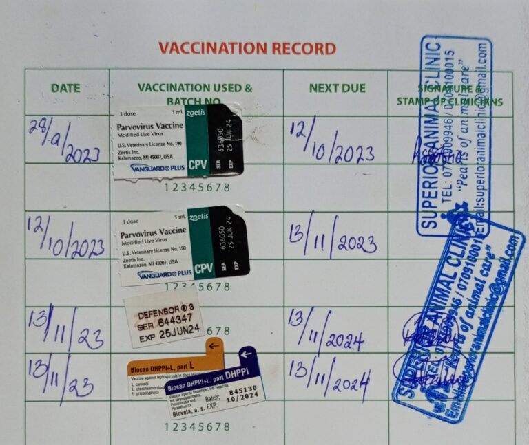 Vaccination book in Uganda, Kampala at Superior Animal Clinic