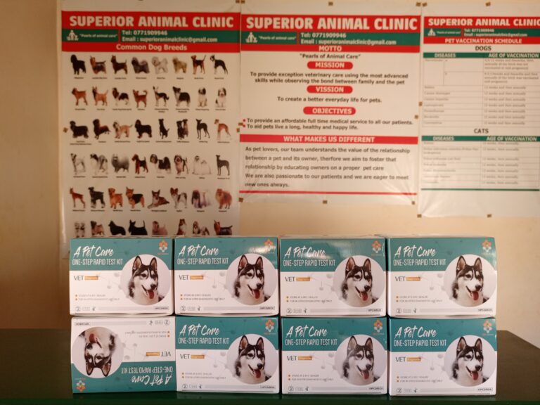 Best parvo test kits in Kampala, Uganda at Superior Animal Clinic