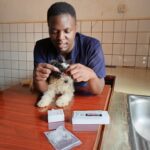best parvo antibody test in Kampala, Uganda at Superior Animal Clinic