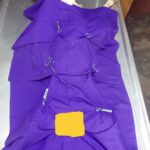 Dog castration or neutering in Kampala, Uganda