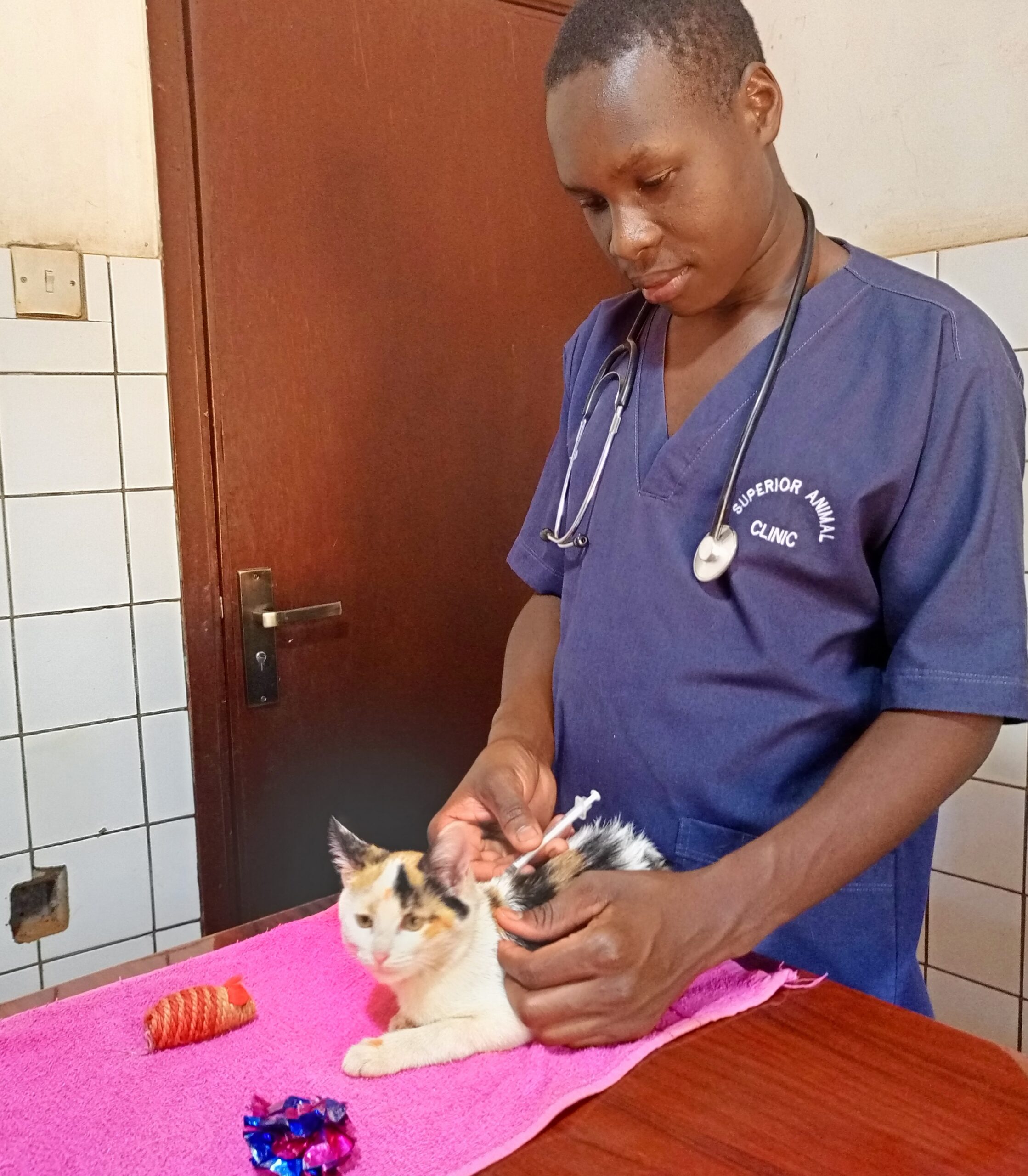 Best cat treatment at Superior Animal Clinic in Kampala, Uganda