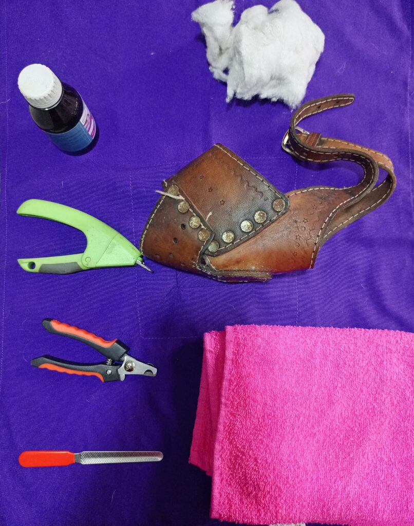 Best equipment for dog nail trimming at Superior Animal Clinic in Kampala, Uganda