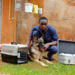 Best home call vet in Kampala, Uganda at Superior Animal Clinic