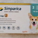 Best tablet for ticks and fleas ( Simparica) in Kampala, Uganda at Superior Animal Clinic