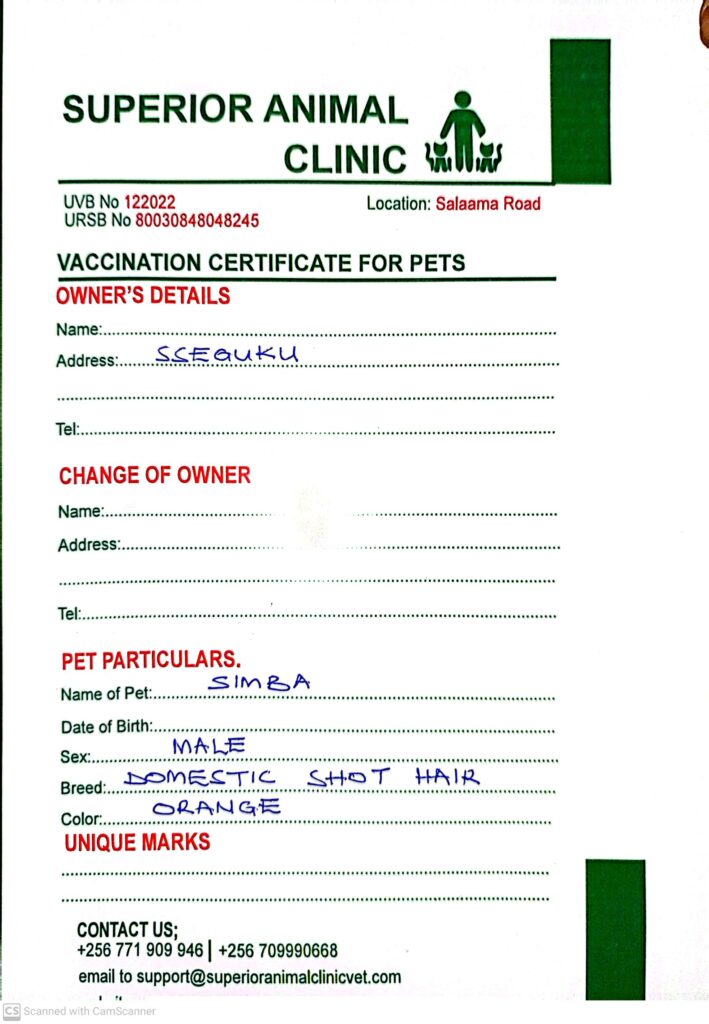 Cat vaccination or book in Kampala, Uganda at Superior Animal Clinic