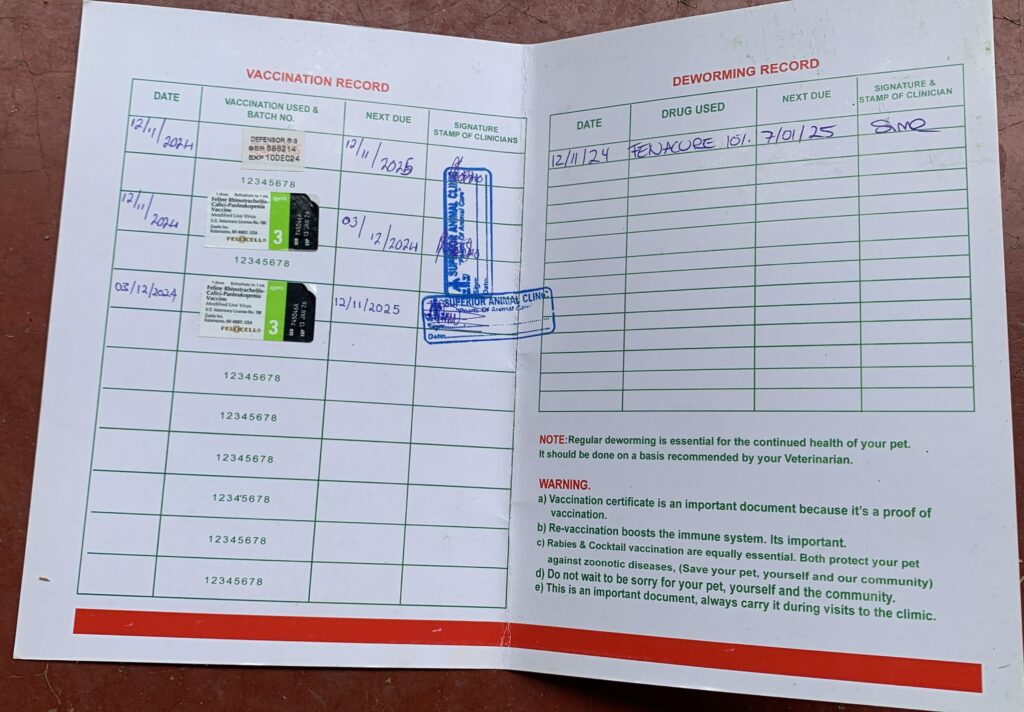 Cat vaccination certificate in Kampala, Uganda at Superior Animal Clinic