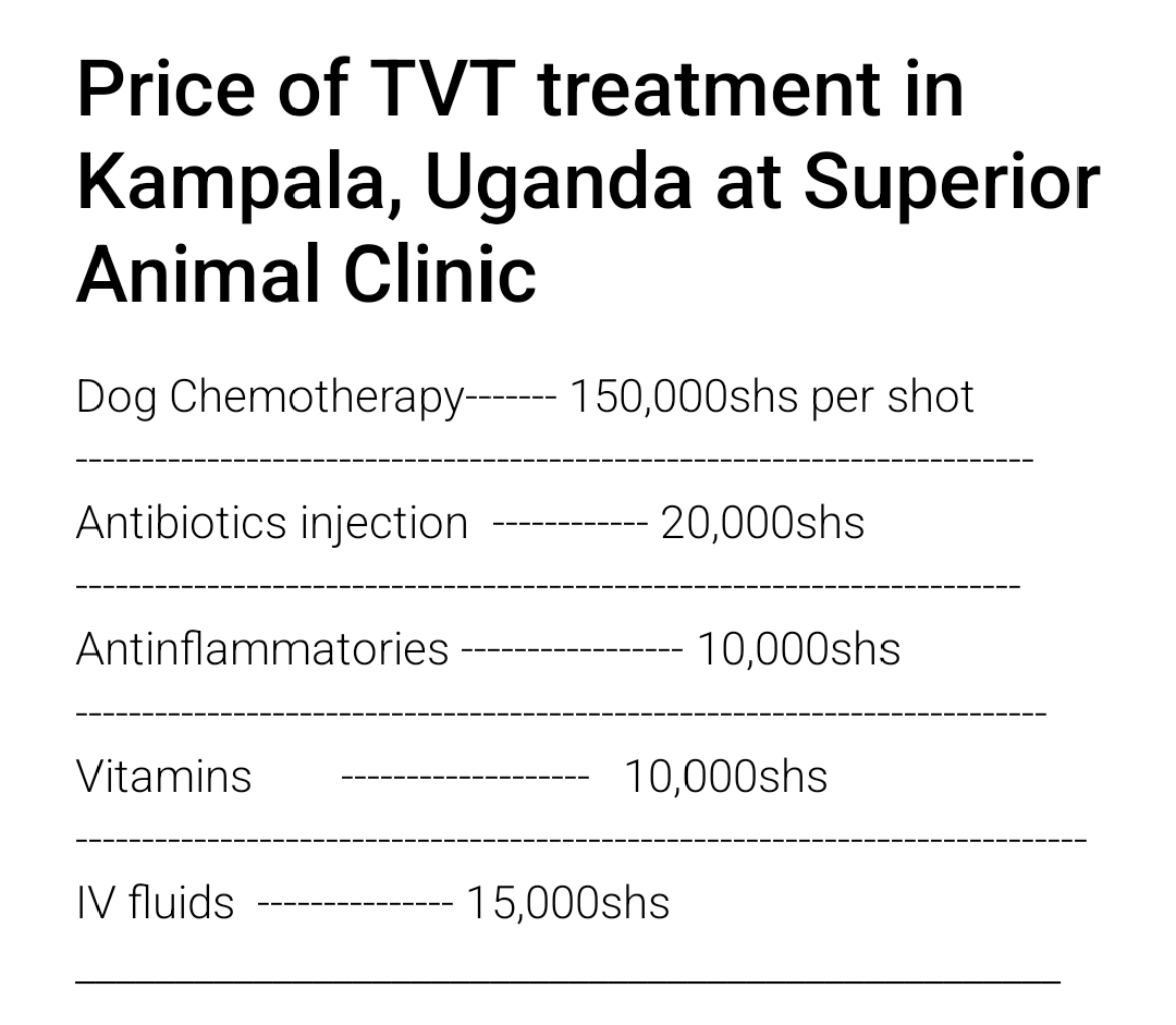 Cost of Dog TVT treatment (dog chemotherapy) in Kampala Uganda at Superior Animal Clinic