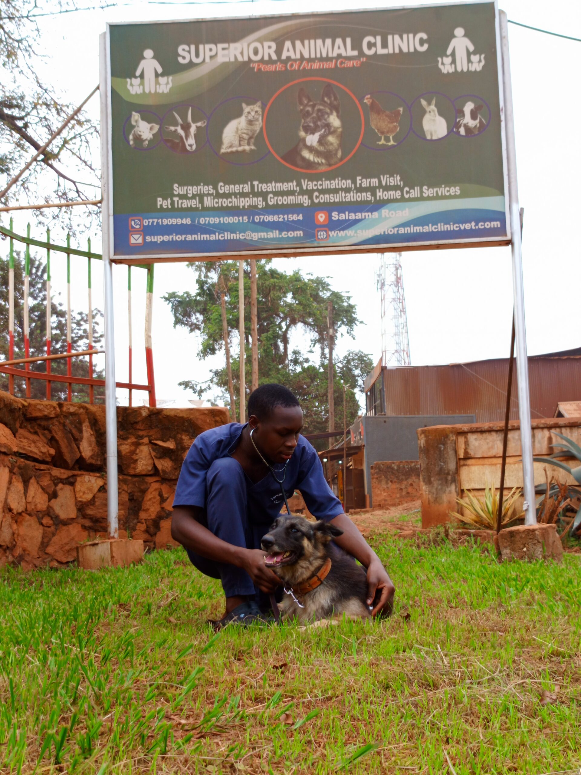 Dog checkup in Kampala, Uganda at Superior Animal Clinic