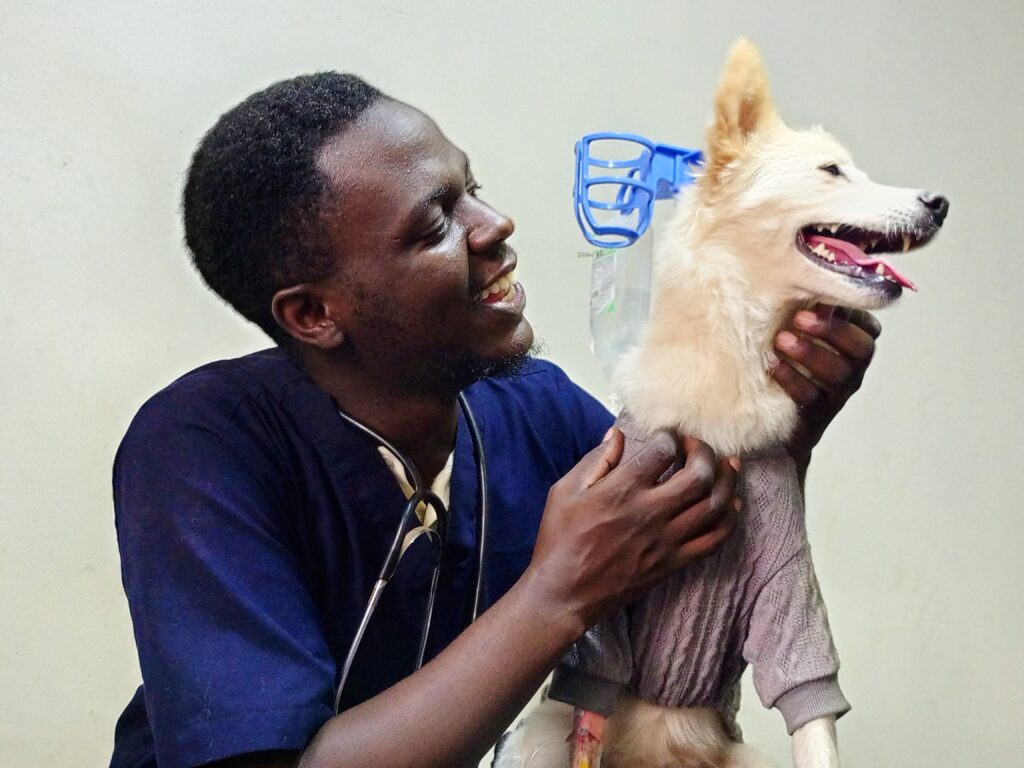 vet doctor in Kampala, Uganda at Superior Animal Clinic vaccinating a dog