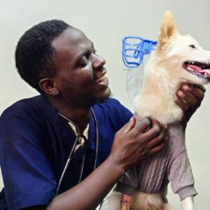 vet doctor in Kampala, Uganda at Superior Animal Clinic vaccinating a dog