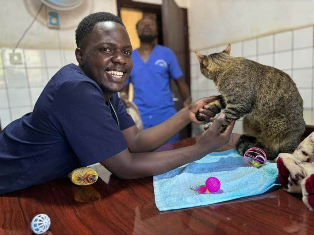 vet in Kampala vaccinating a cat at Superior Animal Clinic