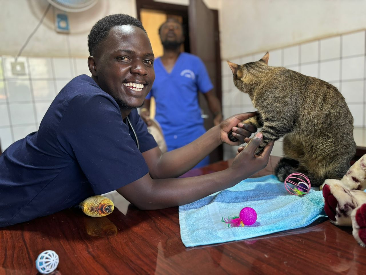 vet in Kampala vaccinating a cat at Superior Animal Clinic