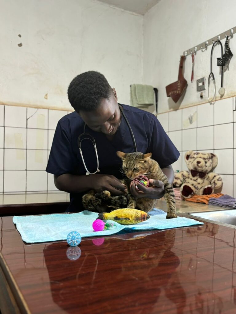 veterinary doctor for cats in Kampala, Uganda at Superior Animal Clinic,