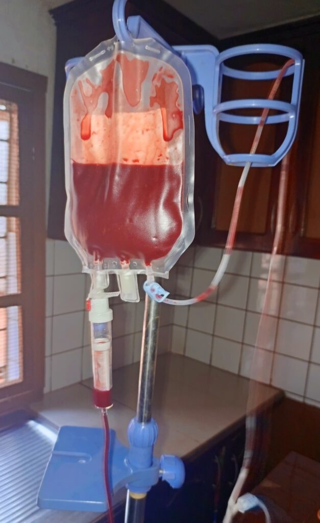 Blood transfusion setup at pet clinic in Kampala, Uganda at Superior Aniimal Clinic