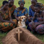 Dog funeral services Kampala – burial and cremation options at superior animal clinic