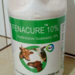 Fenbendazole at Superior Animal Clinic in Kampala, Uganda
