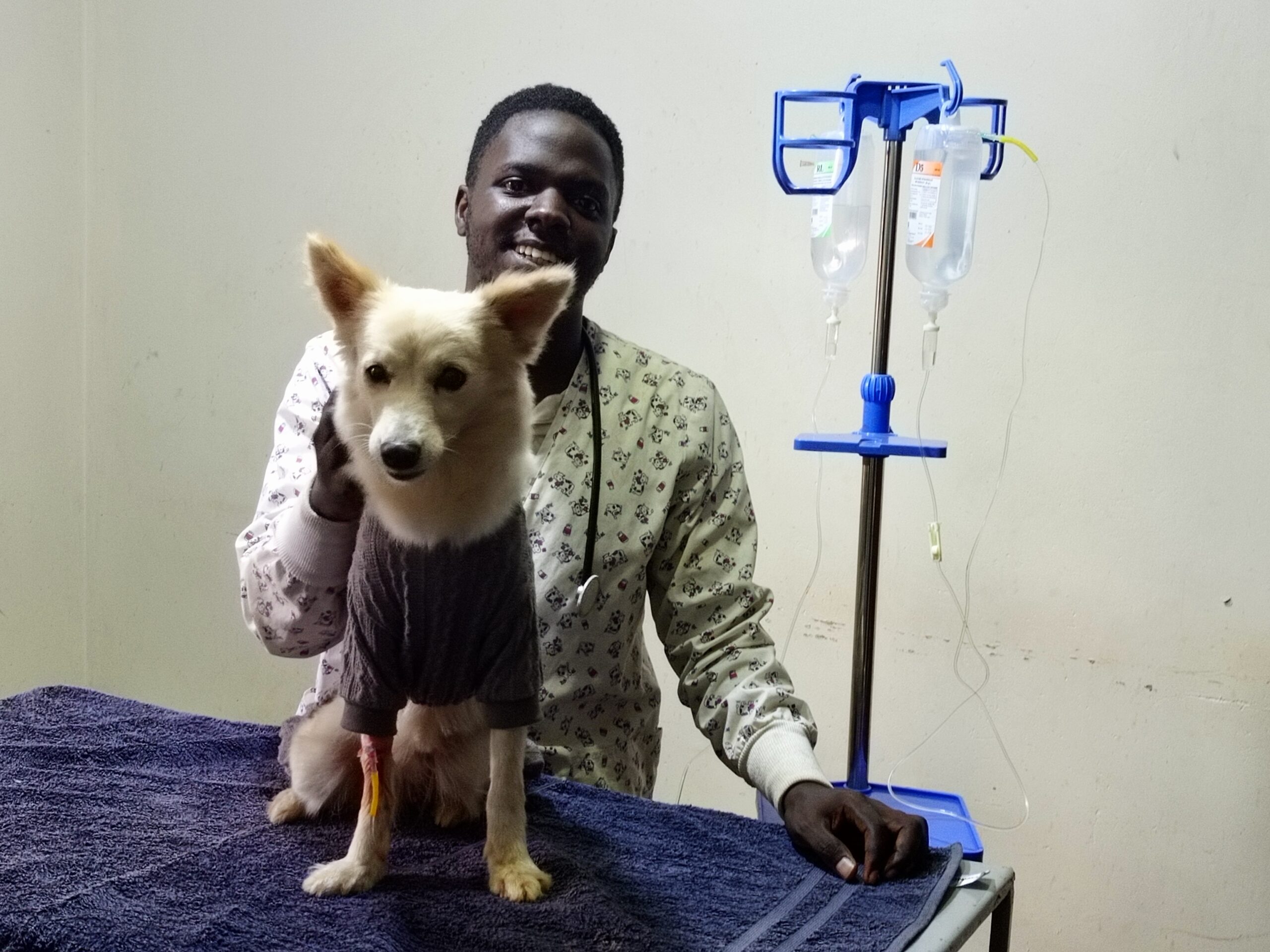 Pet hospitalization services in Kampala at Superior Animal Clinic - 247 emergency care for sick dogs and cats