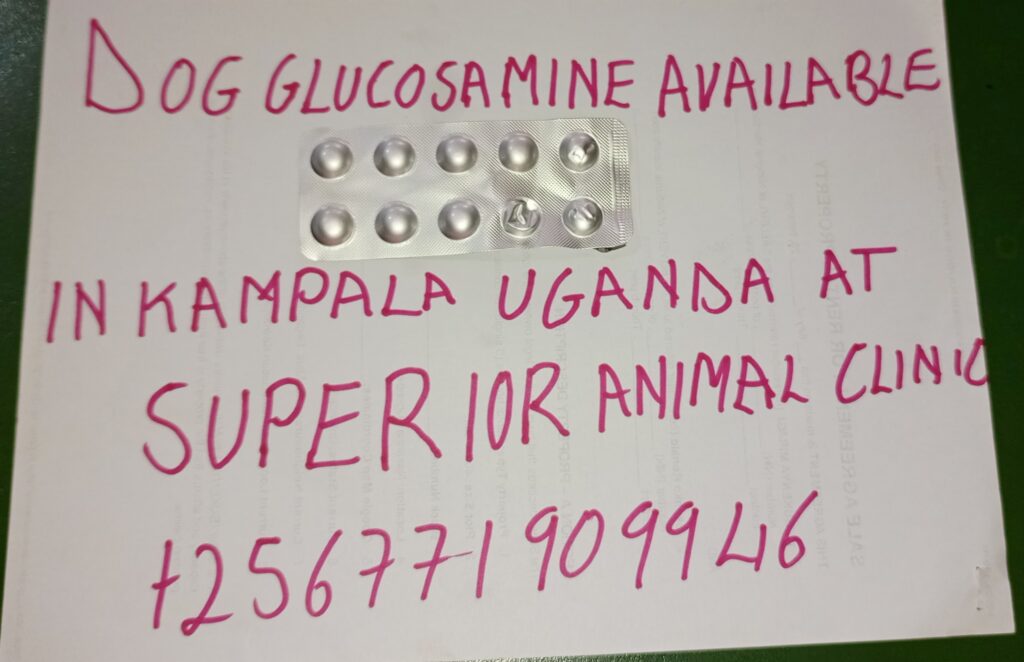 Dog Glucosamine available in Kampala Uganda at Superior Animal Clinic