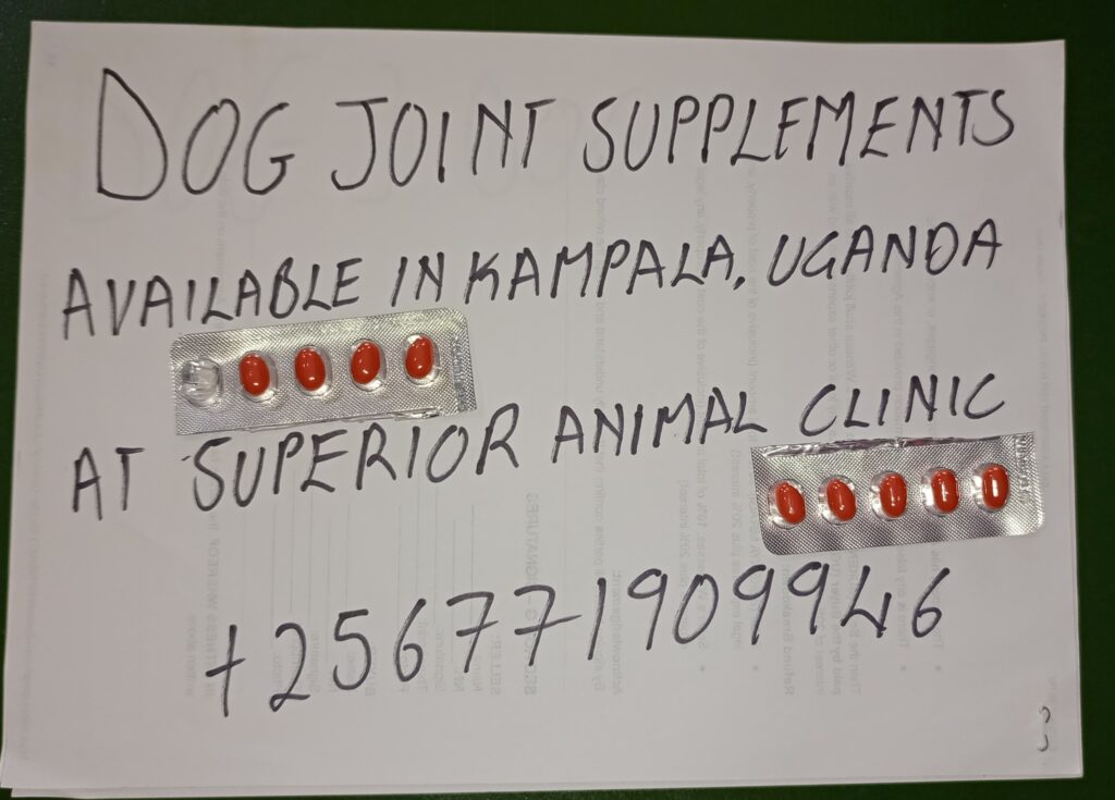 Dog Joint Supplements available in Kampala Uganda at Superior Animal Clinic