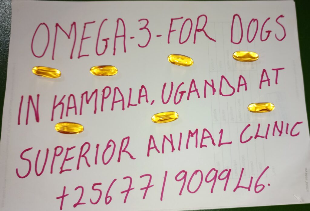 Omega 3 for dogs available in Kampala Uganda at Superior Animal Clinic