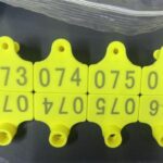 Durable Goat tags in Uganda at Superior Animal Clinic