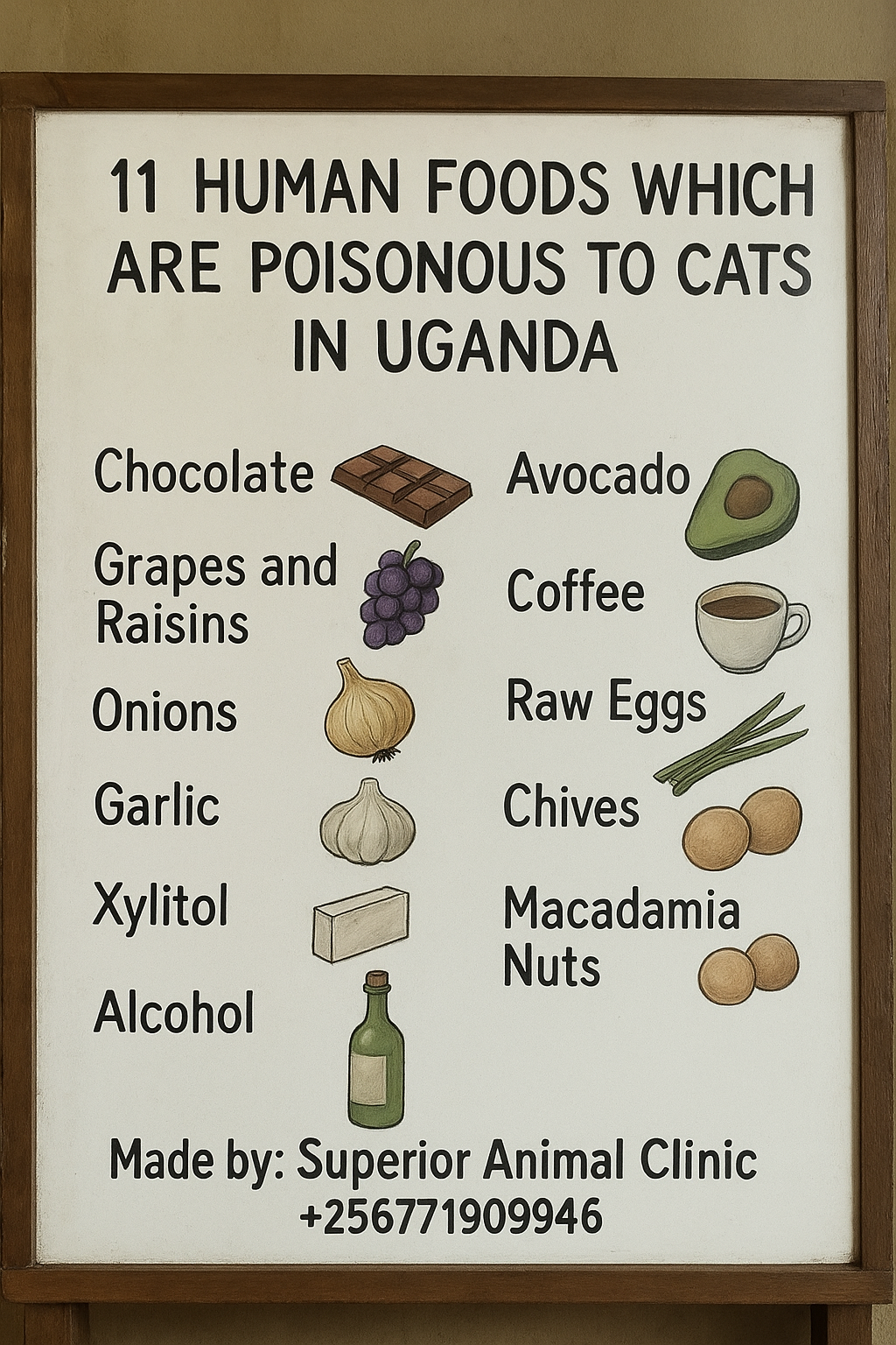 Veterinarian in Kampala examining a sick cat after food poisoning at Superior Animal Clinic Makindye