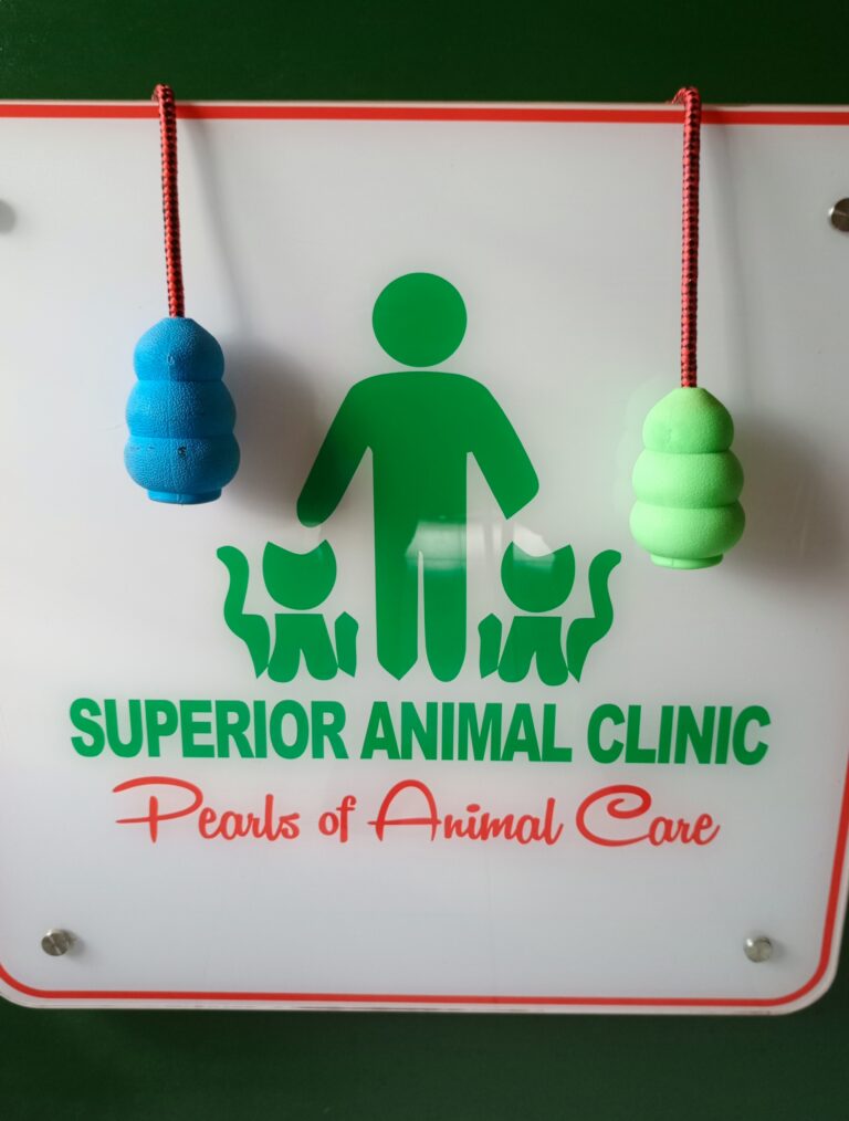 Durable Dog Tug in Uganda at Superior Animal Clinic