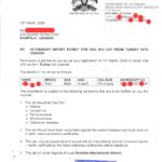 Pet veterinary import permit in Uganda at Superior Animal Clinic