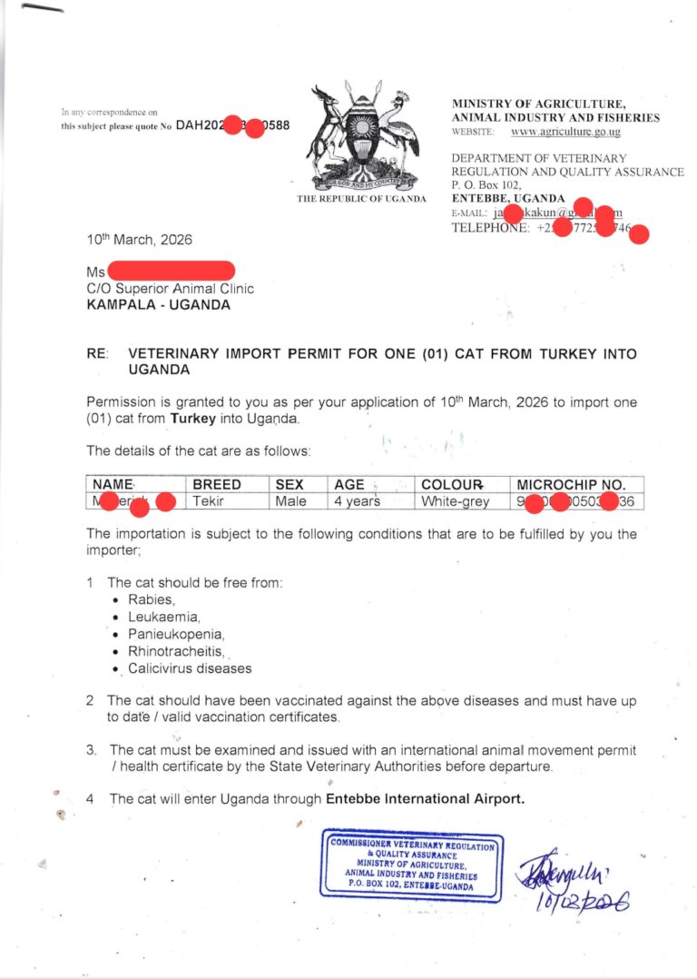 Pet veterinary import permit in Uganda at Superior Animal Clinic