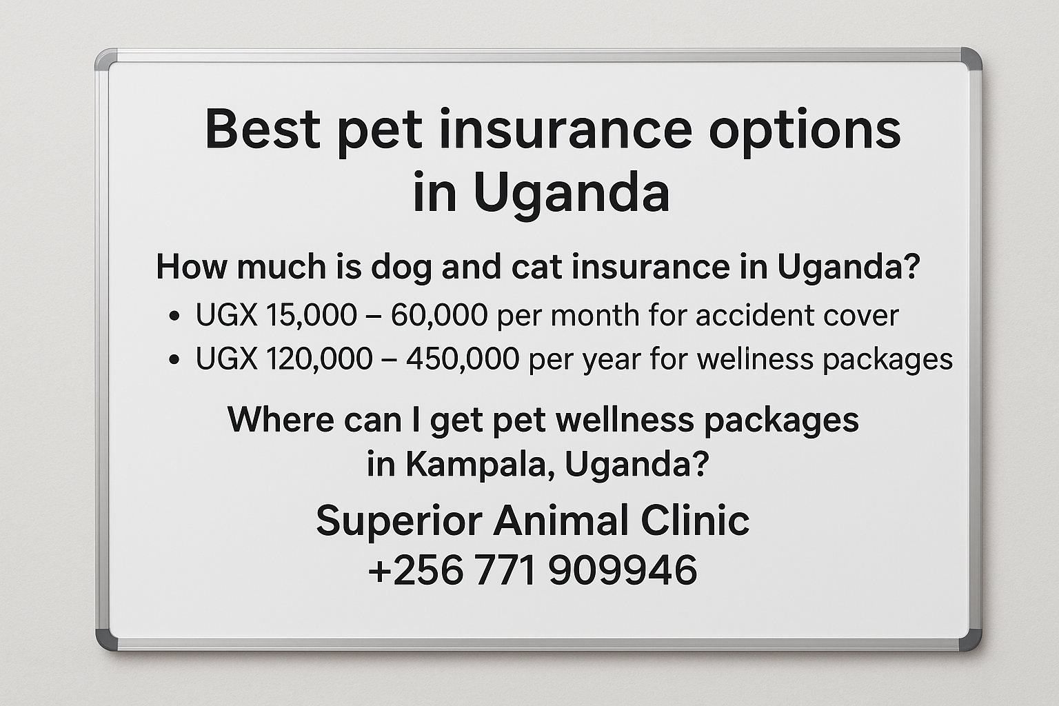 best pet insurance options and pet wellness packages in Uganda at Superior Animal Clinic
