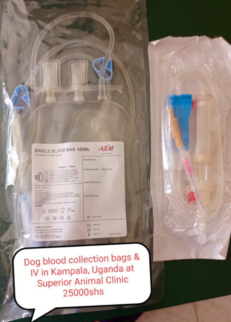 Dog Blood Transfusion Bags in Kampala, Uganda – Available at Superior Animal Clinic
