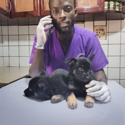 Vet. Kiyingi Edward