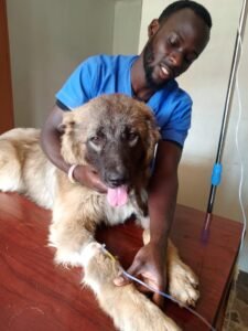 Dr. J. S Edward mobile veterinarian in Uganda