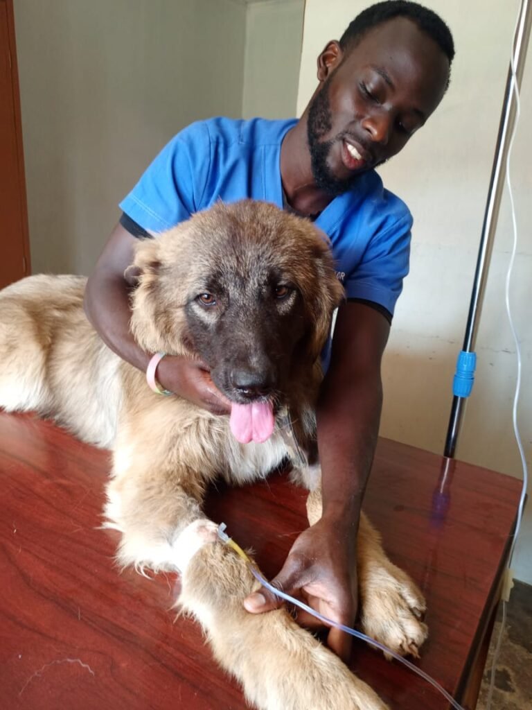 Dr. J. S Edward mobile veterinarian in Uganda