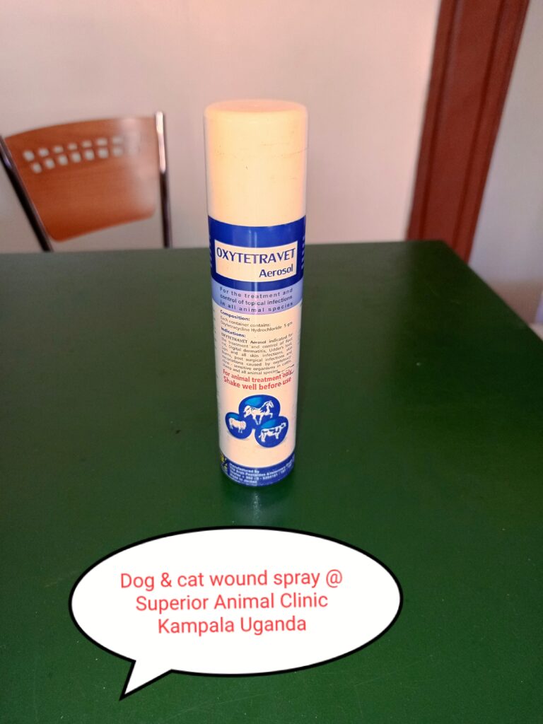 Dog and cat wound spray in Kampala Uganda at Superior Animal Clinic