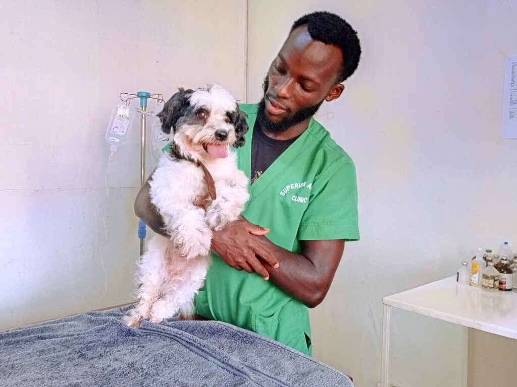 professional vet consultation in Kampala Uganda