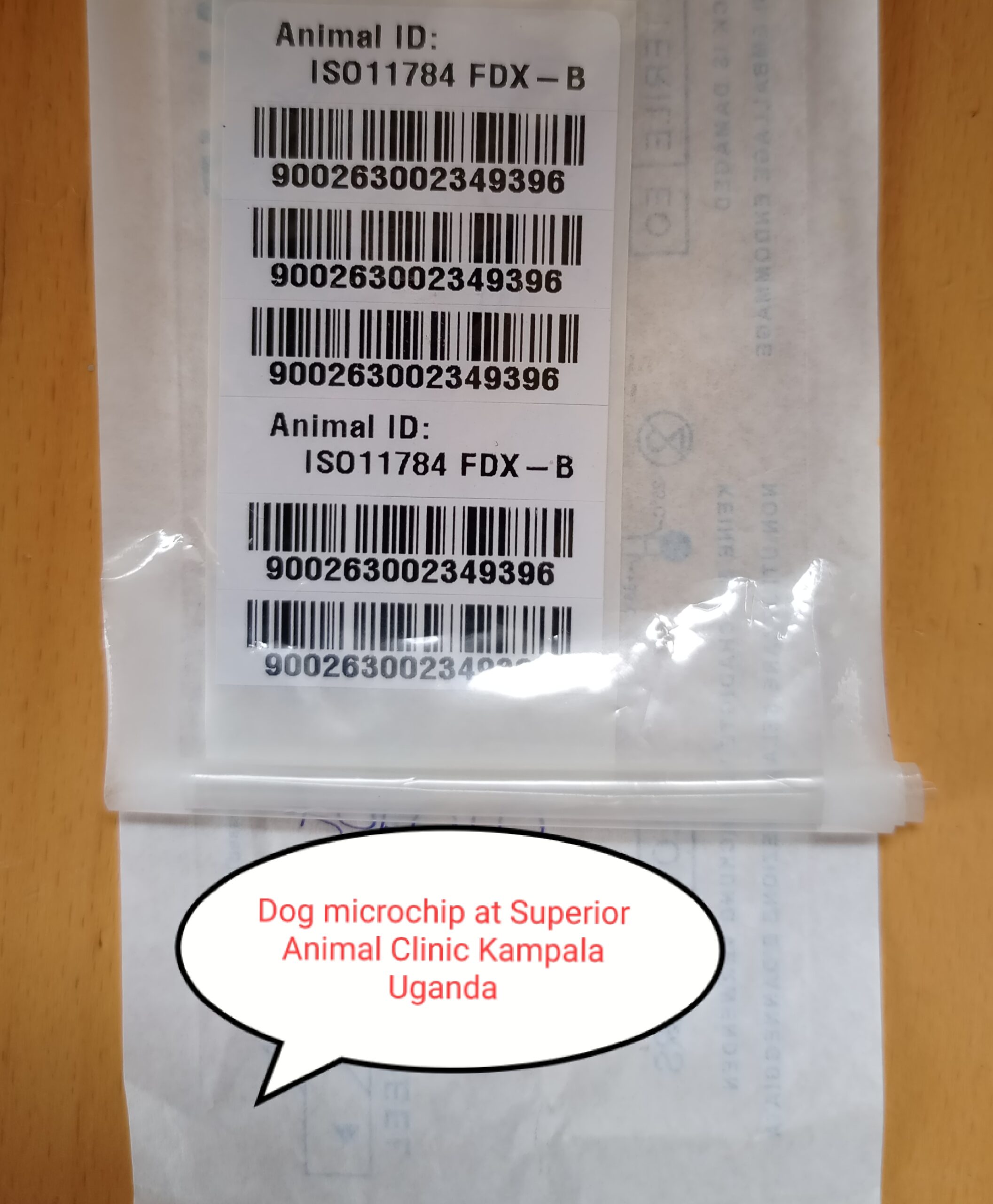 Dog ISO microchip at Superior Animal Clinic Kampala Uganda 
