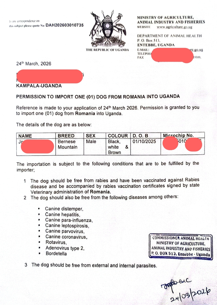 Dog import permit from Europe Romania to Uganda processed by Superior Animal Clinic