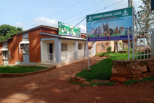 Superior animal clinic