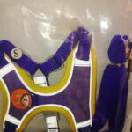 Cat harness