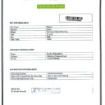 Pet microchip certificatePet microchip certificate