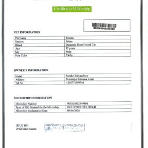 Pet microchip certificatePet microchip certificate