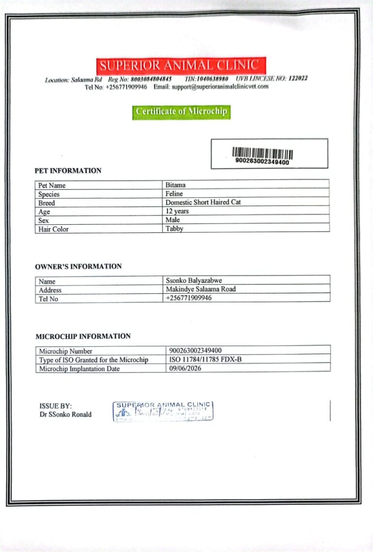 Pet microchip certificatePet microchip certificate