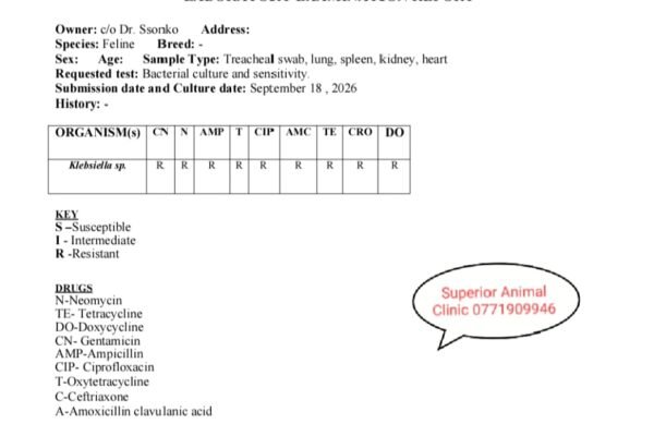 Laboratory report for multidrug resistant Klebsiela Spp in Uganda