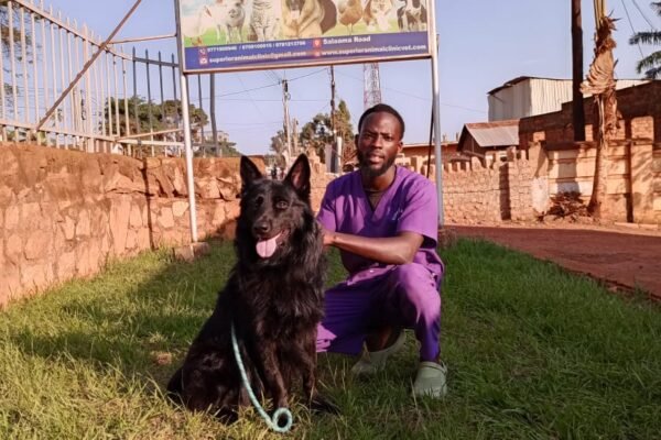 Pet boarding Kampala