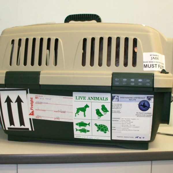 Dogtainers Pet Transport Clipper Cat Cage Plastic Travel Crate Labelled